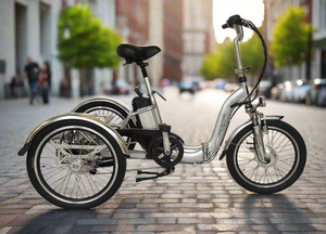 AS Folding Electric Tricycle